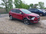 2015 Ford Escape Se Red vin: 1FMCU0GX4FUB17162