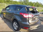 2015 Ford Escape Se Gray vin: 1FMCU0GX4FUC13633