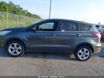 2015 Ford Escape Se Gray vin: 1FMCU0GX4FUC13633