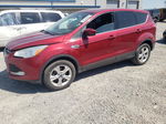 2013 Ford Escape Se Красный vin: 1FMCU0GX5DUA46325