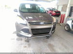 2013 Ford Escape Se Gray vin: 1FMCU0GX5DUB85399