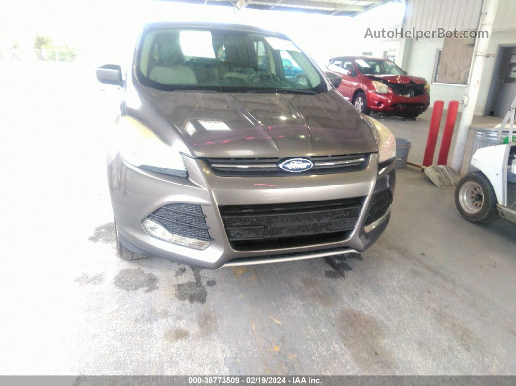 2013 Ford Escape Se Gray vin: 1FMCU0GX5DUB85399