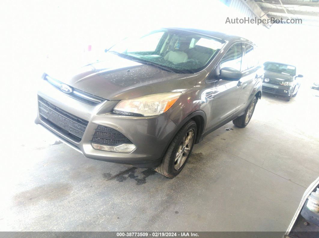 2013 Ford Escape Se Gray vin: 1FMCU0GX5DUB85399