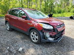 2013 Ford Escape Se Red vin: 1FMCU0GX5DUC64510