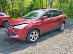 2013 Ford Escape Se Red vin: 1FMCU0GX5DUC64510