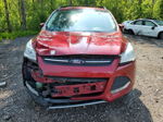 2013 Ford Escape Se Red vin: 1FMCU0GX5DUC64510