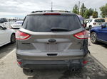 2013 Ford Escape Se Серый vin: 1FMCU0GX5DUC78682