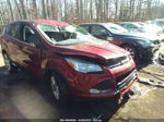 2014 Ford Escape Se Оранжевый vin: 1FMCU0GX5EUA35861