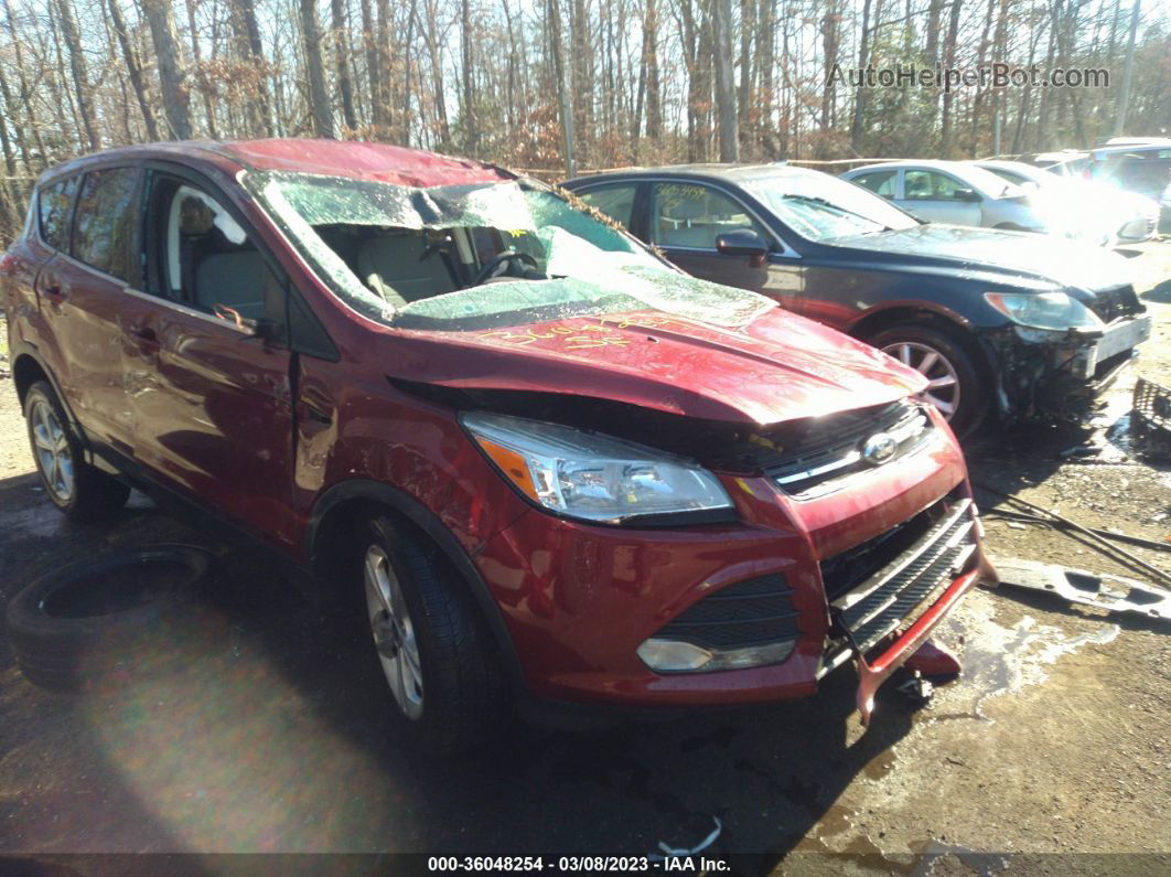 2014 Ford Escape Se Orange vin: 1FMCU0GX5EUA35861