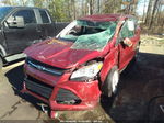 2014 Ford Escape Se Оранжевый vin: 1FMCU0GX5EUA35861