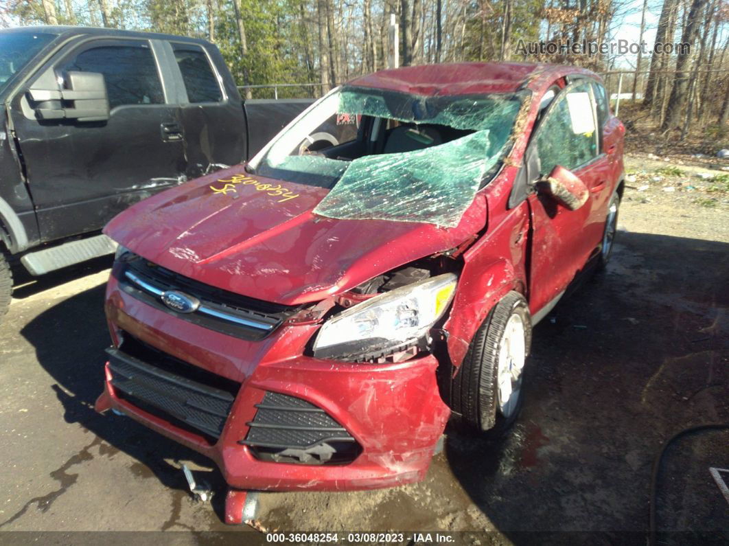 2014 Ford Escape Se Orange vin: 1FMCU0GX5EUA35861