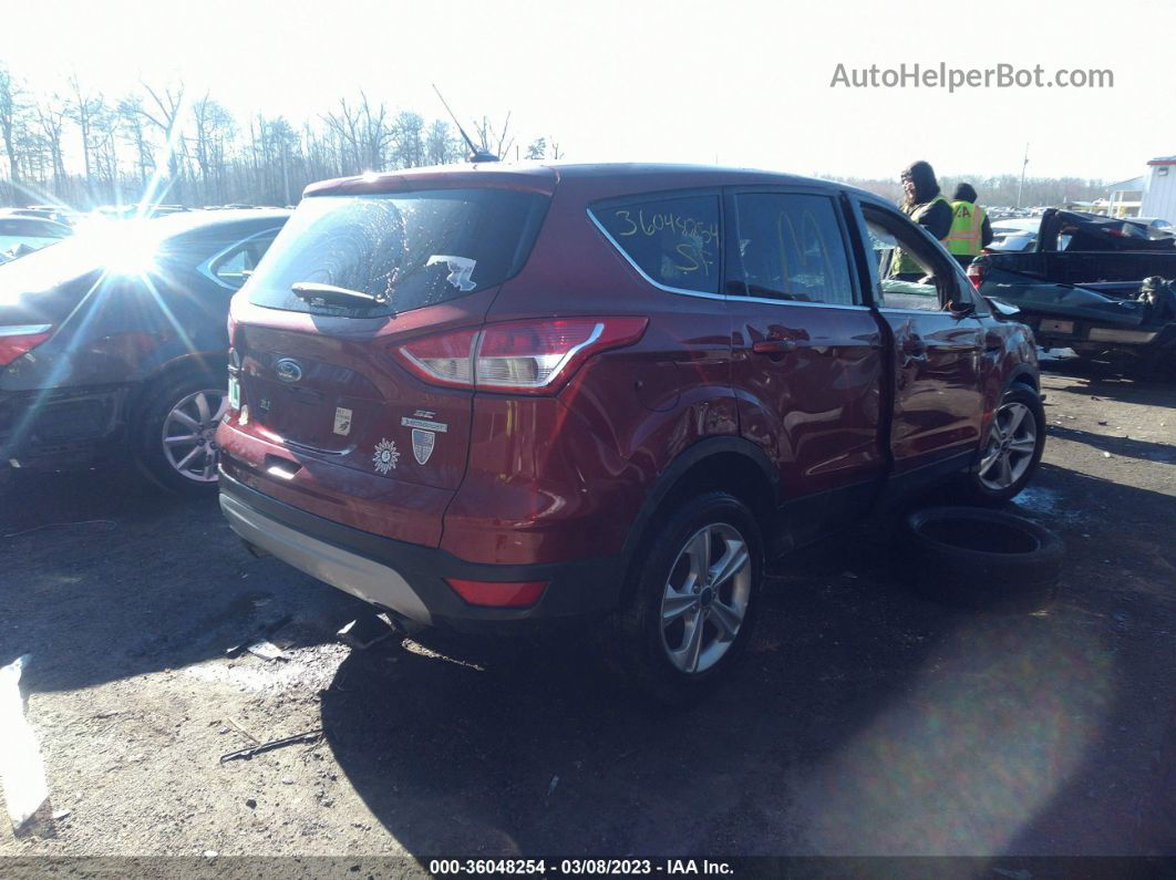 2014 Ford Escape Se Оранжевый vin: 1FMCU0GX5EUA35861