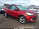 2014 Ford Escape Se Red vin: 1FMCU0GX5EUB69348