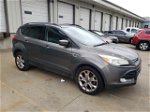 2014 Ford Escape Se Gray vin: 1FMCU0GX5EUB92922