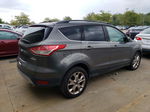 2014 Ford Escape Se Серый vin: 1FMCU0GX5EUB92922