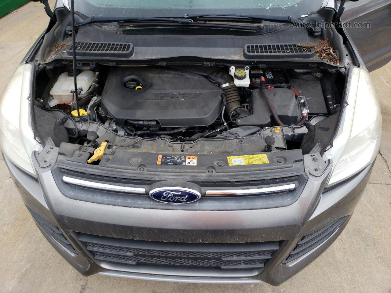 2014 Ford Escape Se Gray vin: 1FMCU0GX5EUB92922