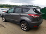 2014 Ford Escape Se Серый vin: 1FMCU0GX5EUB92922