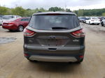 2014 Ford Escape Se Серый vin: 1FMCU0GX5EUB92922