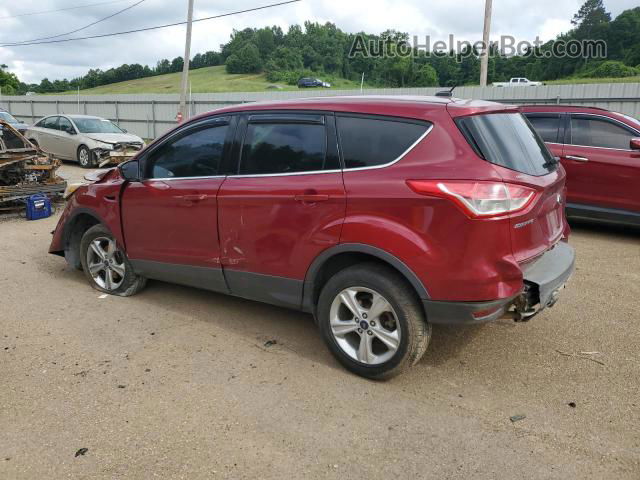 2014 Ford Escape Se Бордовый vin: 1FMCU0GX5EUB96257