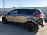 2014 Ford Escape Se Gray vin: 1FMCU0GX5EUC08858