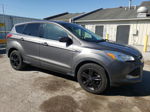 2014 Ford Escape Se Gray vin: 1FMCU0GX5EUC08858