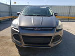 2014 Ford Escape Se Gray vin: 1FMCU0GX5EUC08858