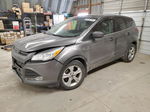 2014 Ford Escape Se Charcoal vin: 1FMCU0GX5EUC30097