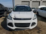 2014 Ford Escape Se White vin: 1FMCU0GX5EUC41973