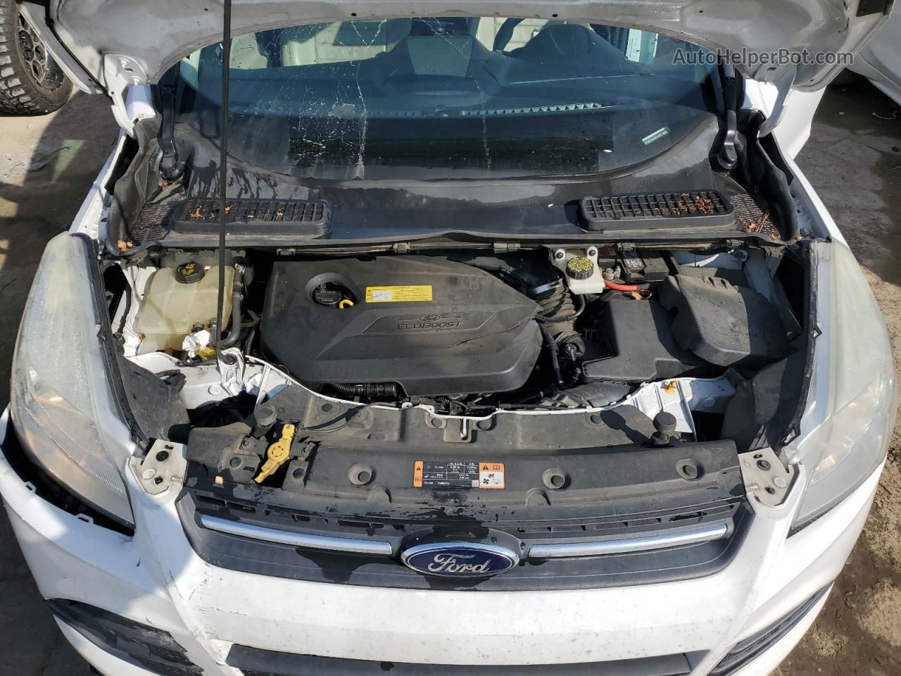 2014 Ford Escape Se White vin: 1FMCU0GX5EUC41973