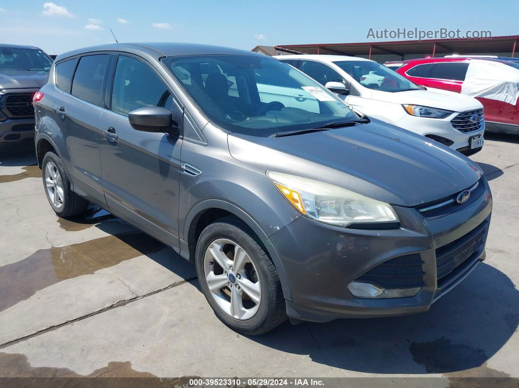 2014 Ford Escape Se Gray vin: 1FMCU0GX5EUC43819