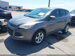 2014 Ford Escape Se Gray vin: 1FMCU0GX5EUC43819