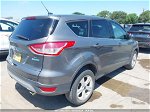 2014 Ford Escape Se Gray vin: 1FMCU0GX5EUC43819