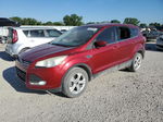 2014 Ford Escape Se Красный vin: 1FMCU0GX5EUC49474