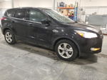 2014 Ford Escape Se Black vin: 1FMCU0GX5EUD78282