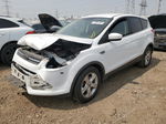 2014 Ford Escape Se Белый vin: 1FMCU0GX5EUD87757