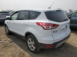 2014 Ford Escape Se Белый vin: 1FMCU0GX5EUD87757