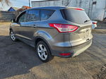 2014 Ford Escape Se Gray vin: 1FMCU0GX5EUE23723