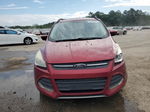 2014 Ford Escape Se Бордовый vin: 1FMCU0GX5EUE32826