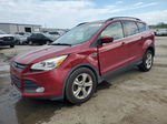 2014 Ford Escape Se Бордовый vin: 1FMCU0GX5EUE32826