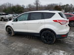 2015 Ford Escape Se White vin: 1FMCU0GX5FUA37644