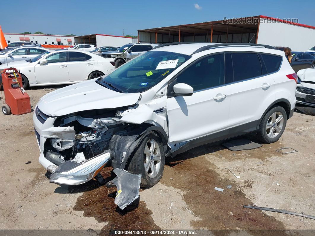 2016 Ford Escape Se White vin: 1FMCU0GX5GUA29089