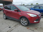 2016 Ford Escape Se Red vin: 1FMCU0GX5GUB32495