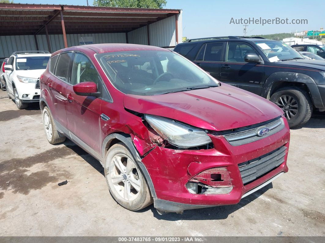 2016 Ford Escape Se Red vin: 1FMCU0GX5GUC10483