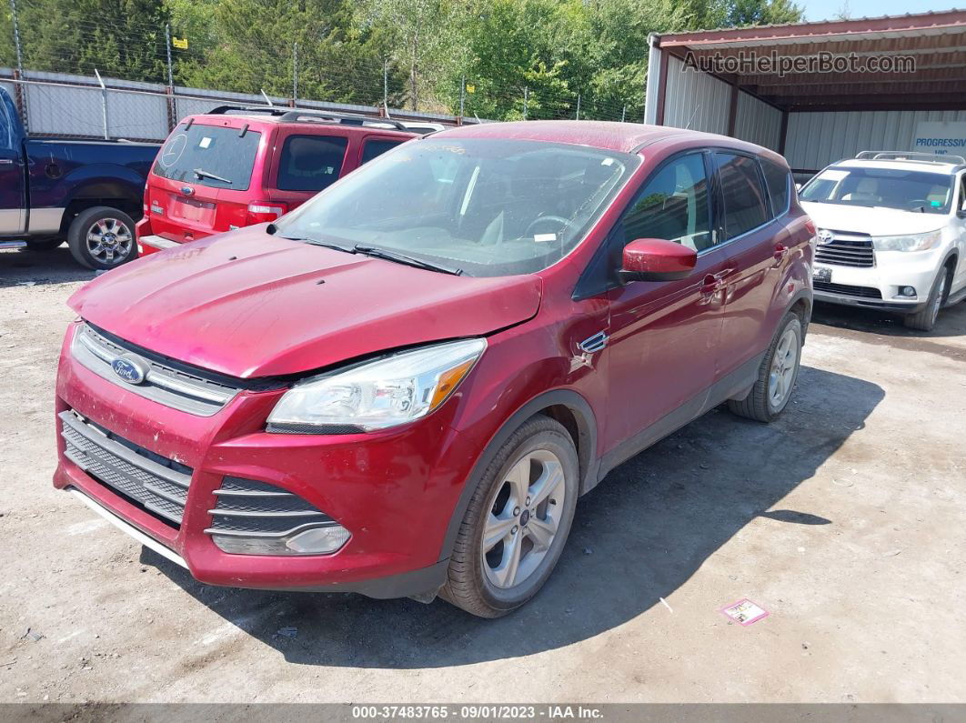 2016 Ford Escape Se Red vin: 1FMCU0GX5GUC10483