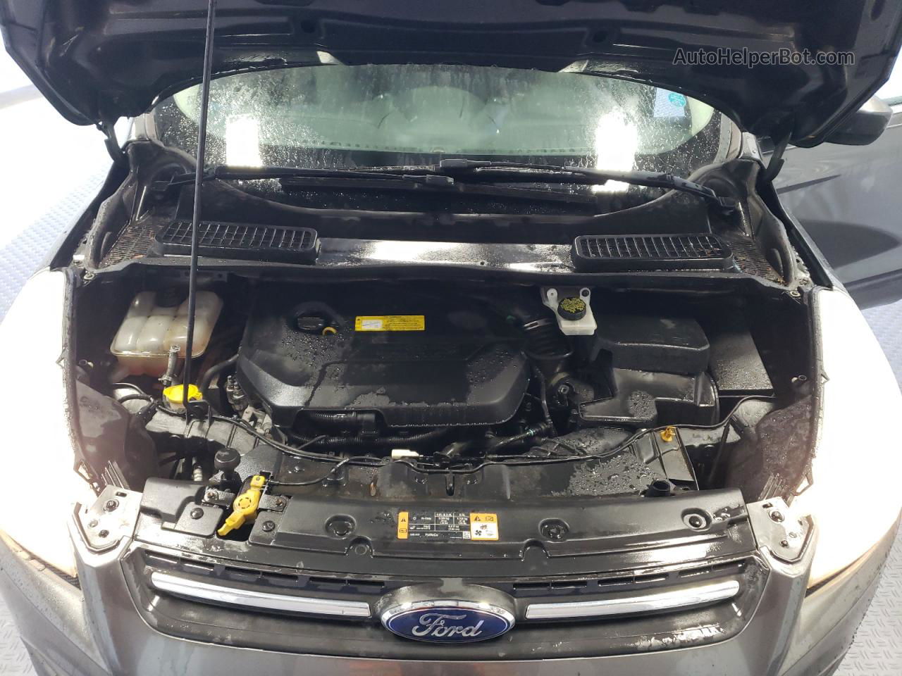 2016 Ford Escape Se Gray vin: 1FMCU0GX5GUC61577