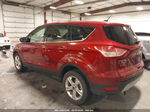 2013 Ford Escape Se Бордовый vin: 1FMCU0GX6DUA07047