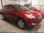 2013 Ford Escape Se Бордовый vin: 1FMCU0GX6DUA07047