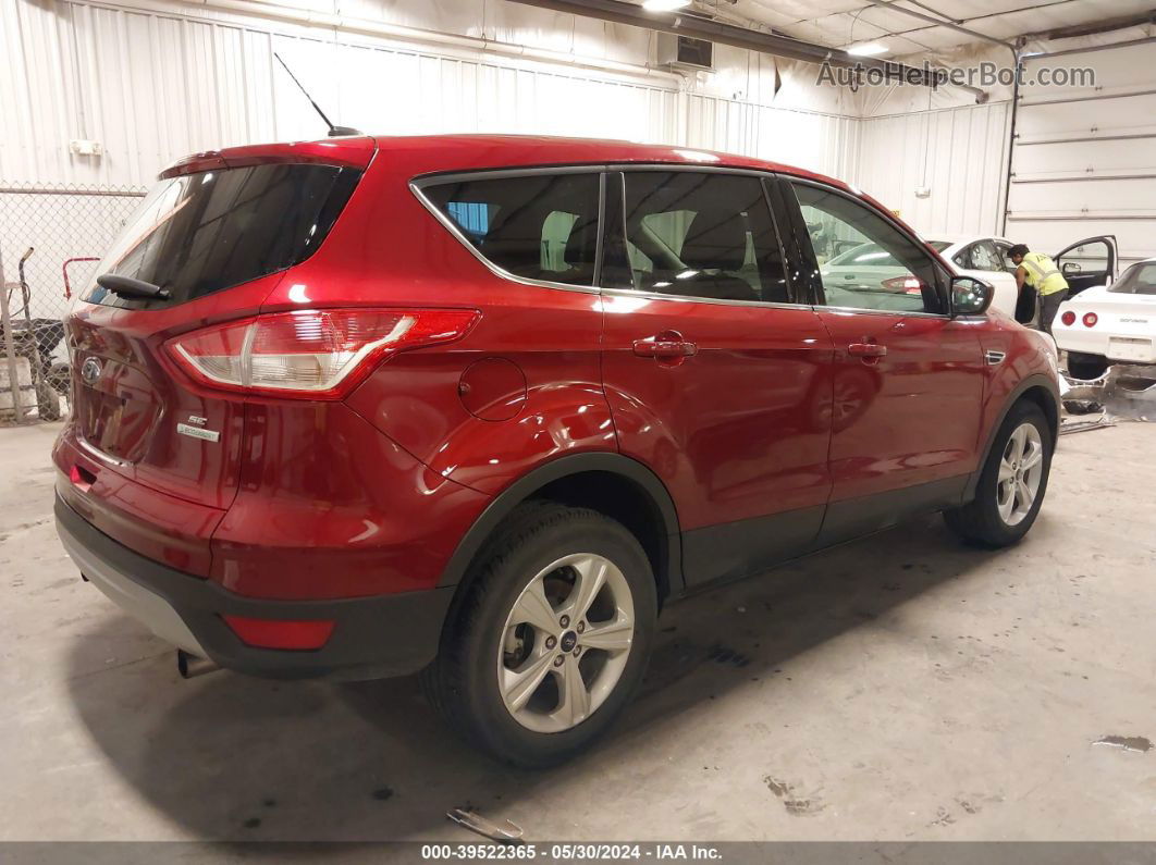 2013 Ford Escape Se Бордовый vin: 1FMCU0GX6DUA07047