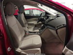 2013 Ford Escape Se Бордовый vin: 1FMCU0GX6DUA07047