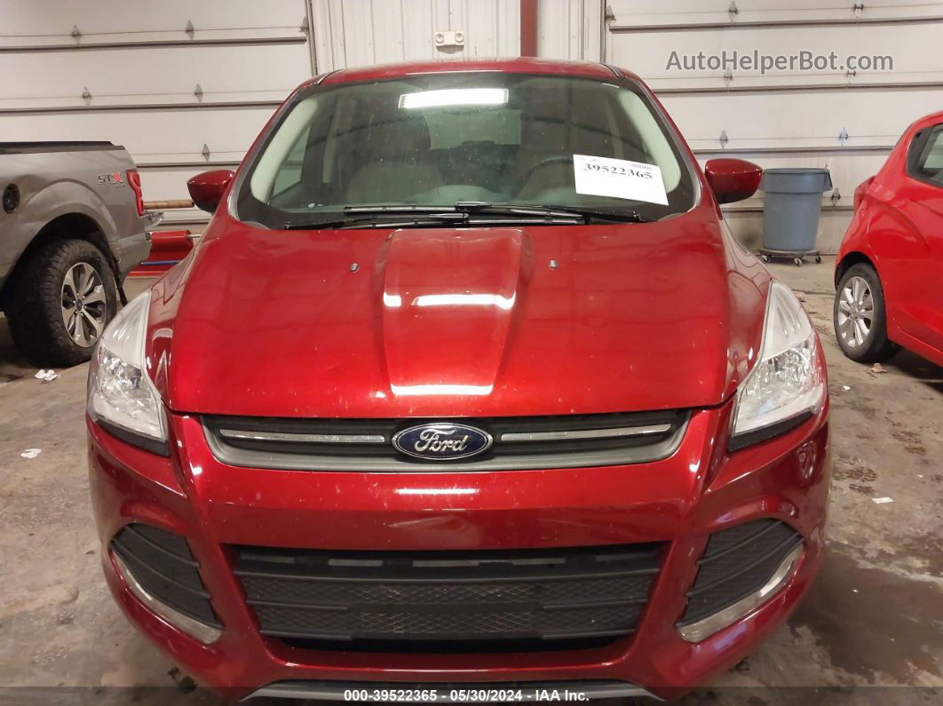 2013 Ford Escape Se Бордовый vin: 1FMCU0GX6DUA07047